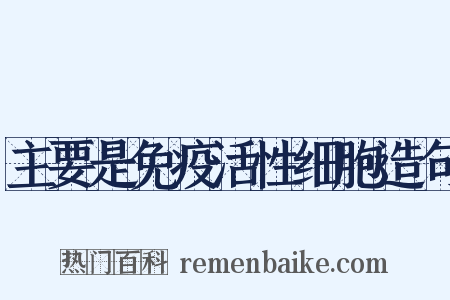 主要是免疫活性细胞造句是什么意思的图片